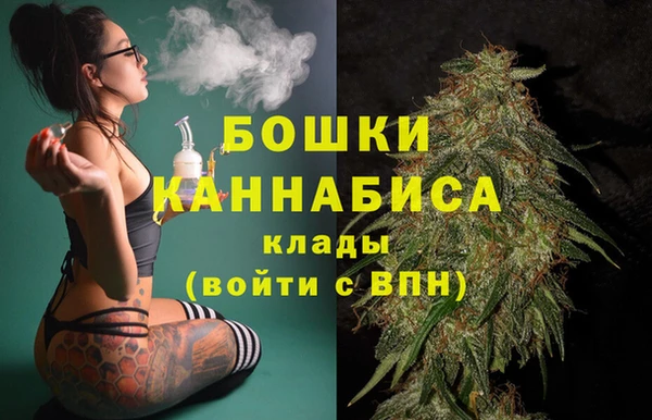 шишки Белоозёрский
