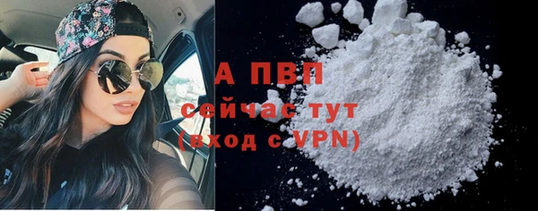 шишки Белоозёрский